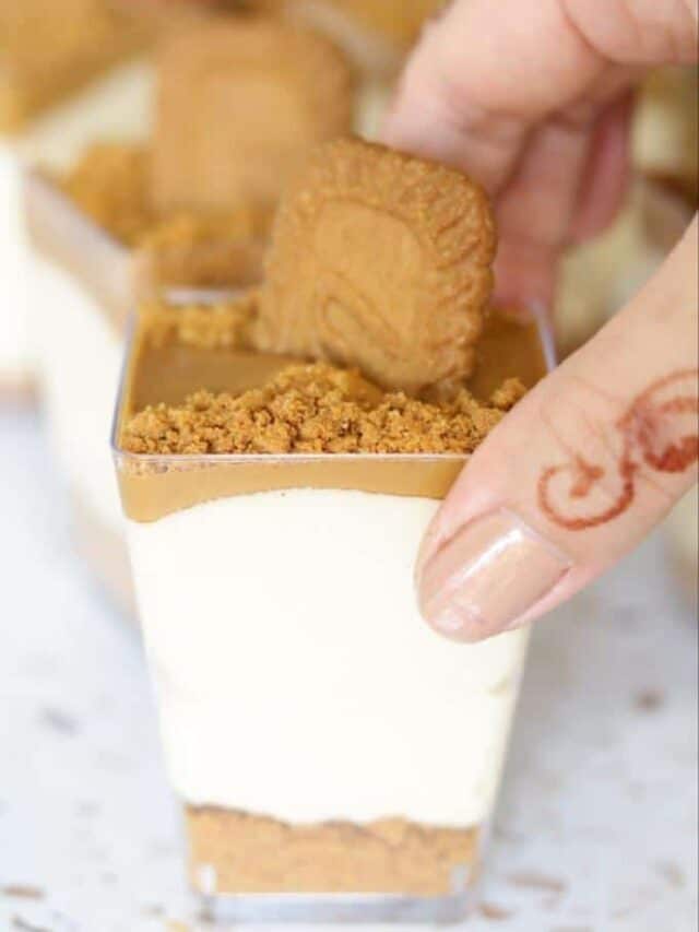 NO BAKE LOTUS BISCOFF CHEESECAKE CUPS